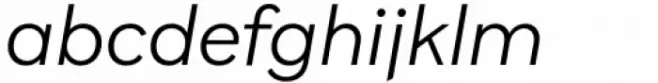 Brutalista Alt Light Italic
