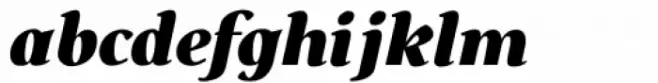 Budinger Oldstyle Heavy Italic