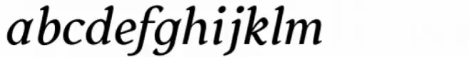 Budinger Oldstyle Medium Italic