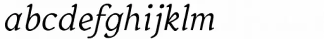 Budinger Oldstyle Regular Italic