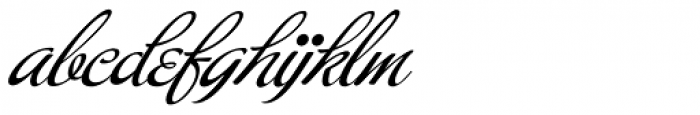 Buffet Script