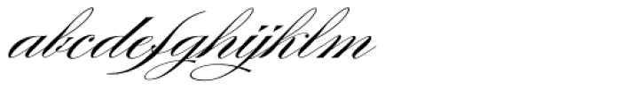 Burgues Script
