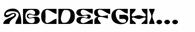 Burra Bold
