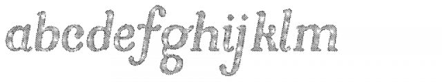 Butternut Halftone