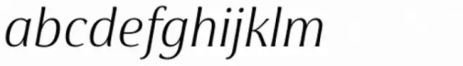 Cabrito Flare Norm Book Italic