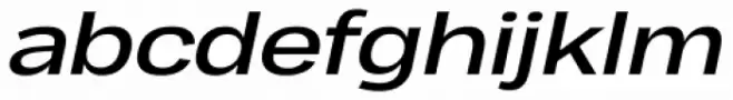 Cairoli Now  Extended Medium Italic