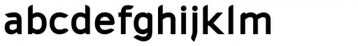 Cajito bold