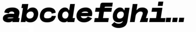 Caleb Mono Black Italic
