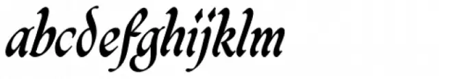 Caligraf Bold