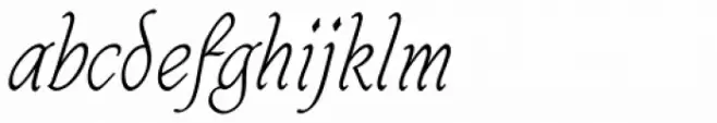 Caligraf Thin