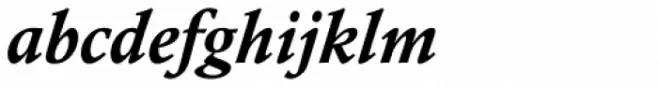 Calisto Std Bold Italic