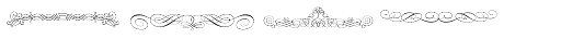 Calligraphia Latina Soft Five