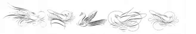 Calligraphic Birds