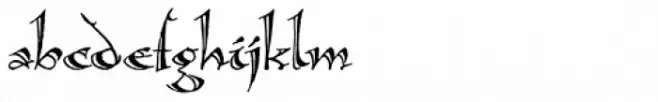 Calligraphica Lx Regular