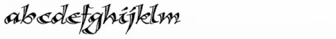 Calligraphica Sx Italic