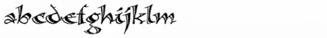 Calligraphica Sx Regular