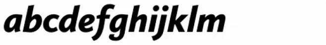 Calluna Sans Black Italic