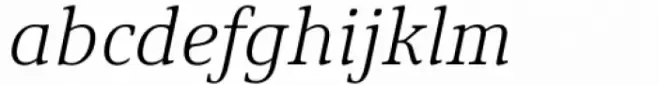 Calm Gray Light Italic