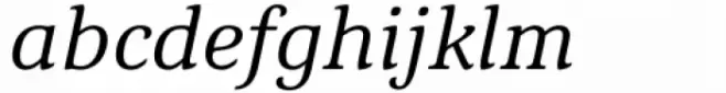 Calm Gray Regular Italic