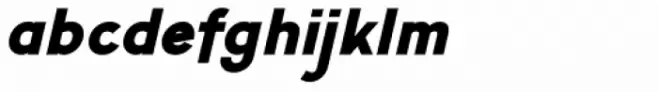 Calvin Black Italic