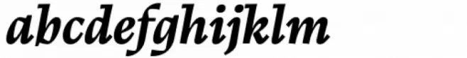 Calvino Bold Italic