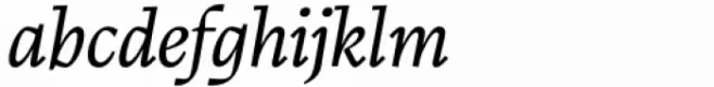 Calvino Book Italic