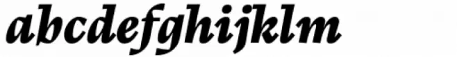 Calvino Extrabold Italic