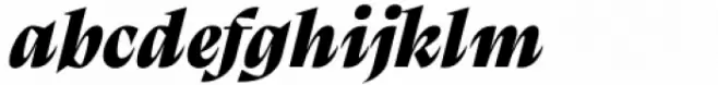 Calvino Grande Black Italic