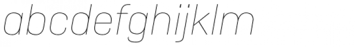 Camber Thin Italic