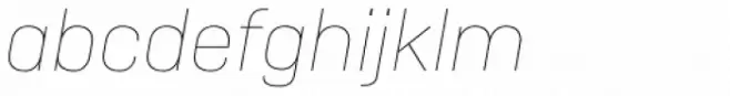 Camber Thin Italic
