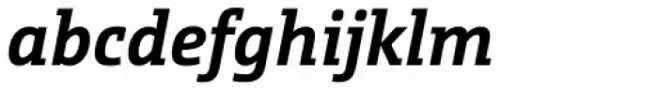 CamingoSlab Pro Bold Italic