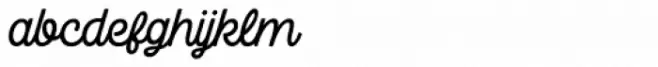 Camper Script1