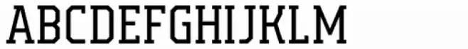 Campione Neue Serif Light
