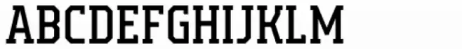 Campione Neue Serif Regular
