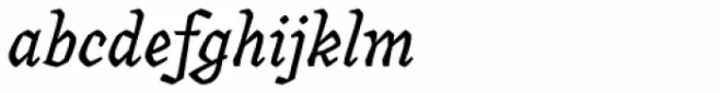 Canilari PRO Regular Italic