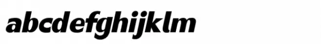 Canosa Black Italic