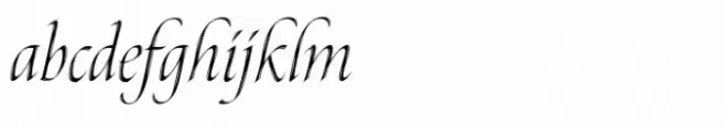Canto Brush Open Light Italic
