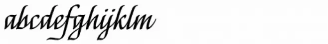 Capellina Script