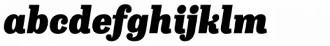 Capital Serif Black Italic
