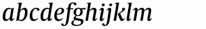 Capitolium Head 2 Italic