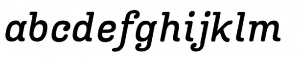 Carollo Playscript Medium Italic