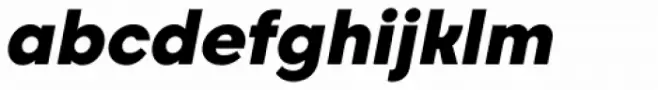 Caros Heavy Italic