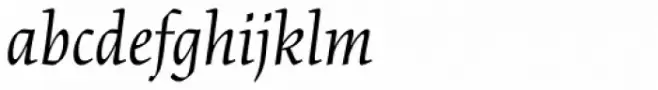 Cartier Book Std Italic