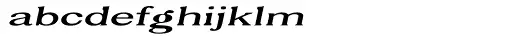 Caslon 2000 Thin Italic