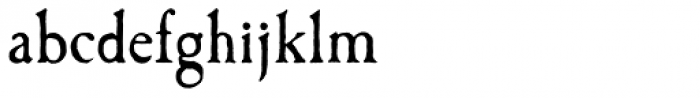 Caslon Antique Pro