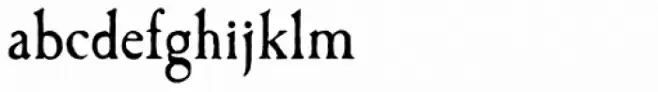 Caslon Antique Pro