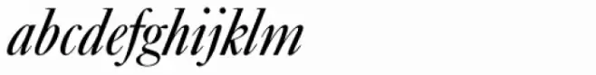 Caslon No 540 D Italic