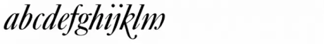 Caslon No 540 Swash Alternative D Italic
