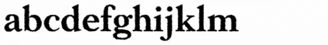 Caslon Rough H EF Bold