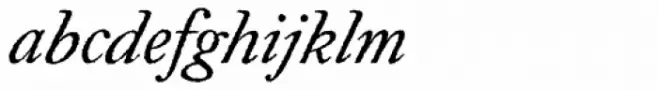 Caslon Rough H EF Italic